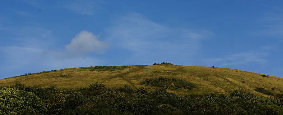 hill, mountain, landscape, nature, sky, meadow, green, plant HD wallpaper