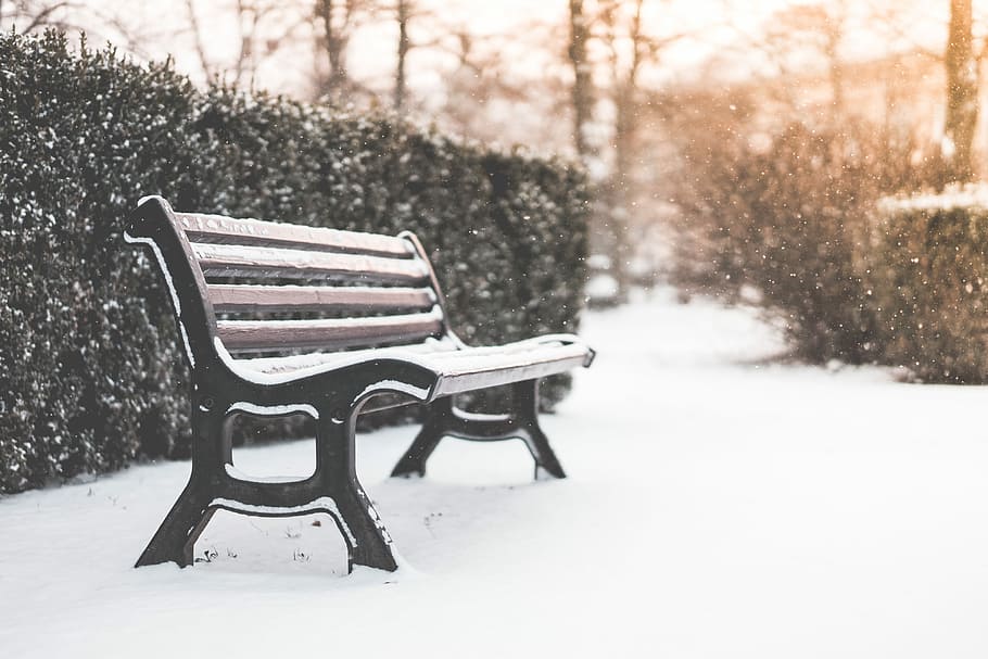 Bench in a Park and Snowy Weather, cold, december, empty, flares