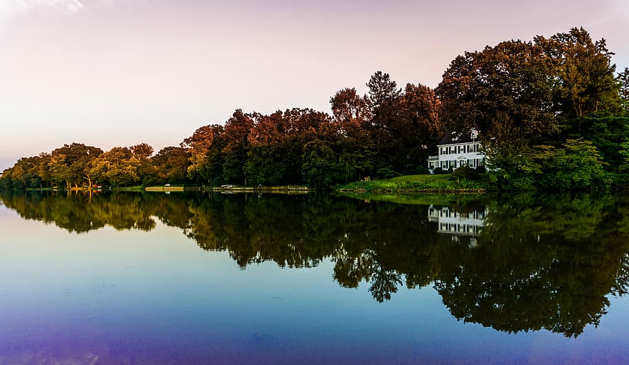 green trees with reflection on body of water, white house near body of water HD wallpaper
