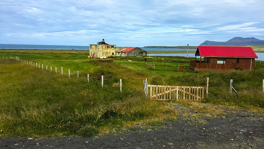 iceland, farm, sky, built structure, architecture, grass, building exterior HD wallpaper