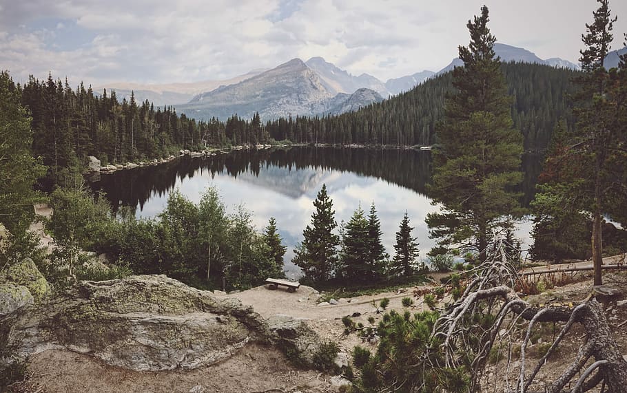 lake between trees near mountain range, landscape photography of lake surrounded by trees HD wallpaper