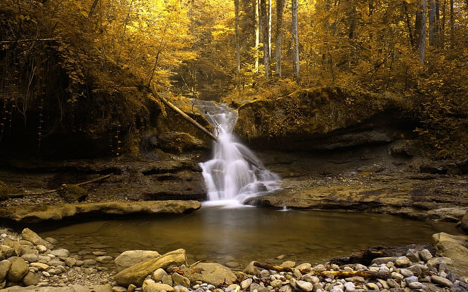 forest, nature, small waterfall, bach, rock, rock - object HD wallpaper