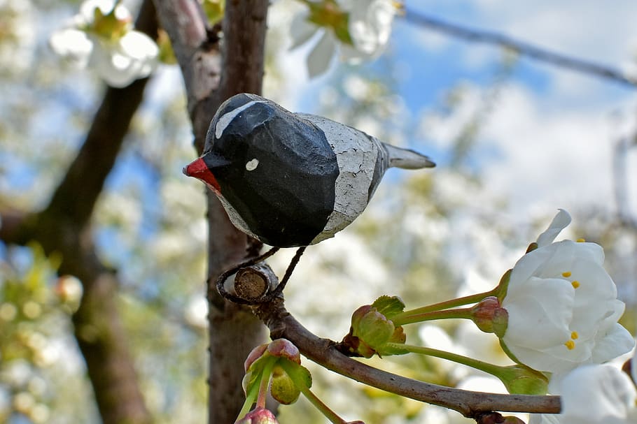bird, artificial, spring, nature, flowers, cherries HD wallpaper