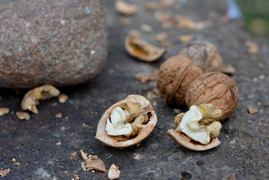 nuts, cloven, peel, eating, walnut, smash, stone, food, food and drink HD wallpaper