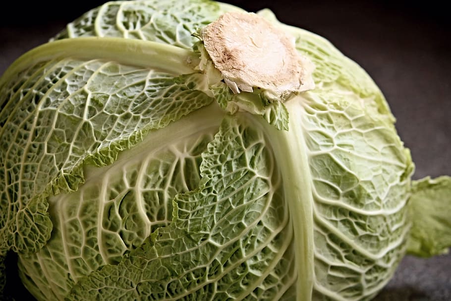 focus photo of green cabbage vegetable, savoy, savoy cabbage head, HD wallpaper