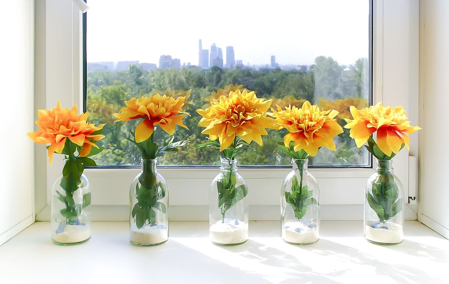 flowers, summer flowers, composition, flowering plant, window HD wallpaper