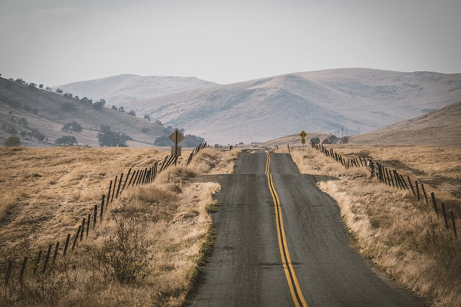 gray concrete road between brown grass field, road in between brown field HD wallpaper
