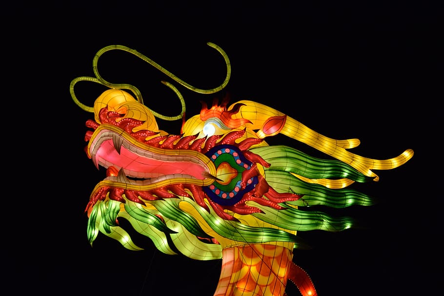green, red, and yellow lighted dragon head at night, chinese HD wallpaper