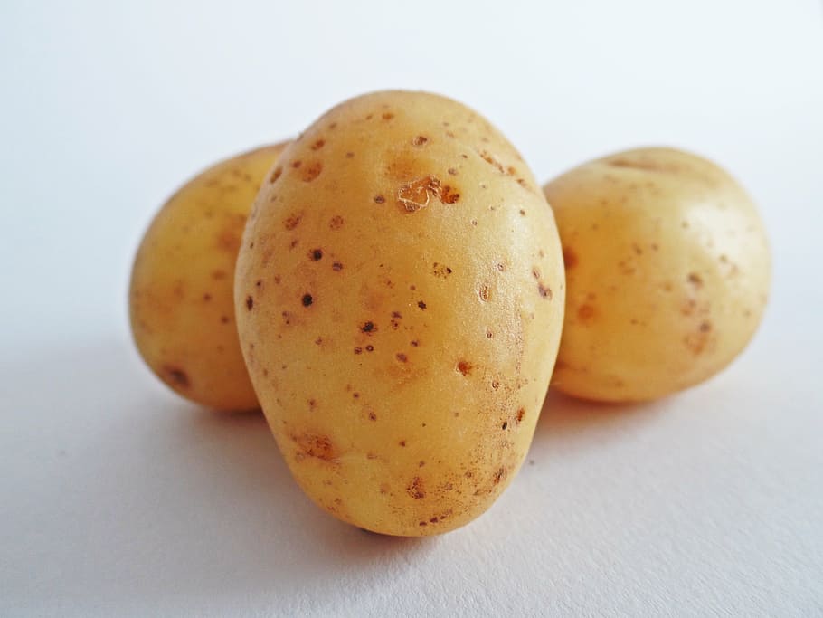 three yellow potatoes on white surface, vegetables, field, eat, HD wallpaper
