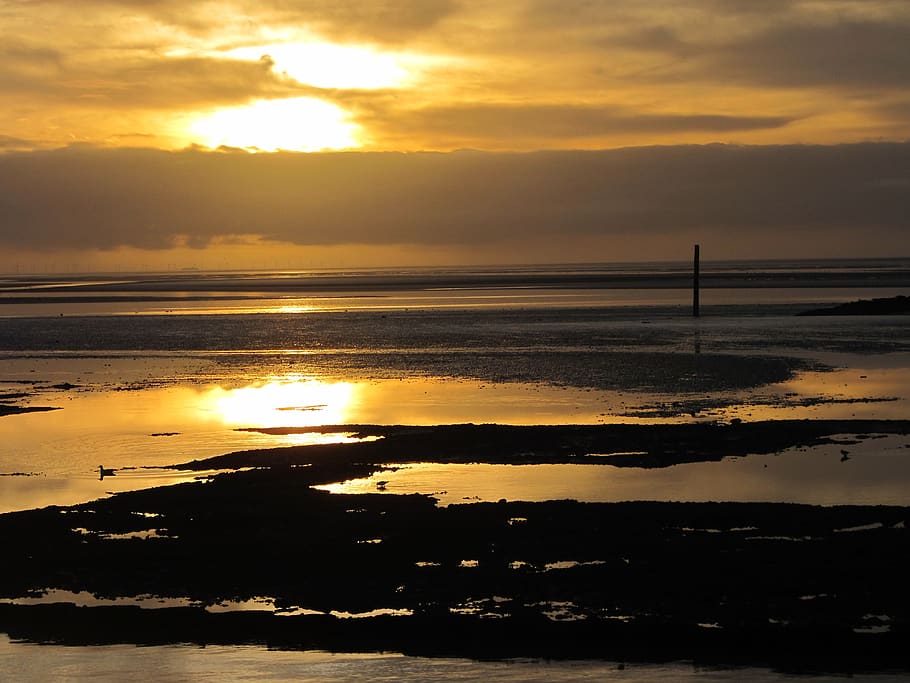 sunset, norderney, sea, evening, watts, wadden sea, sky, water, HD wallpaper