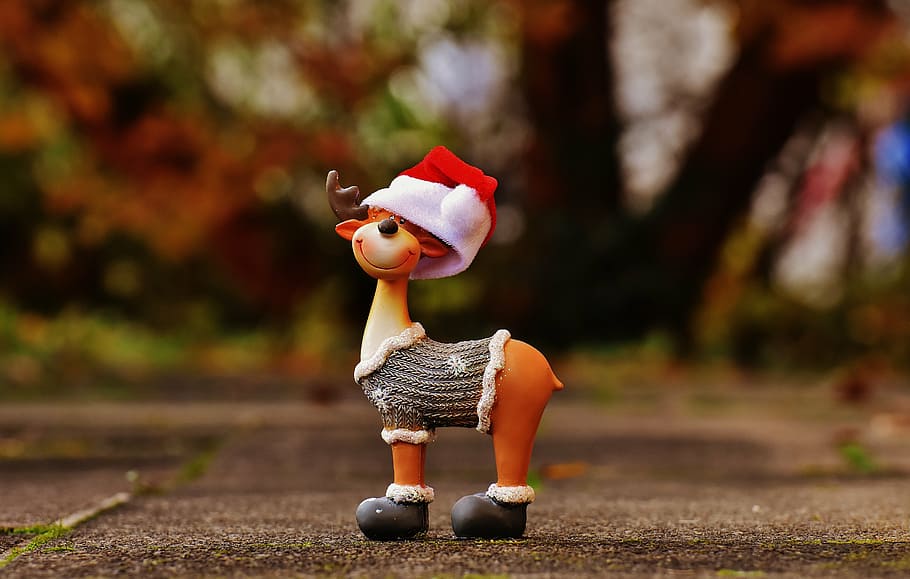 closeup photo of deer with santa's hat figurine, moose, christmas, HD wallpaper