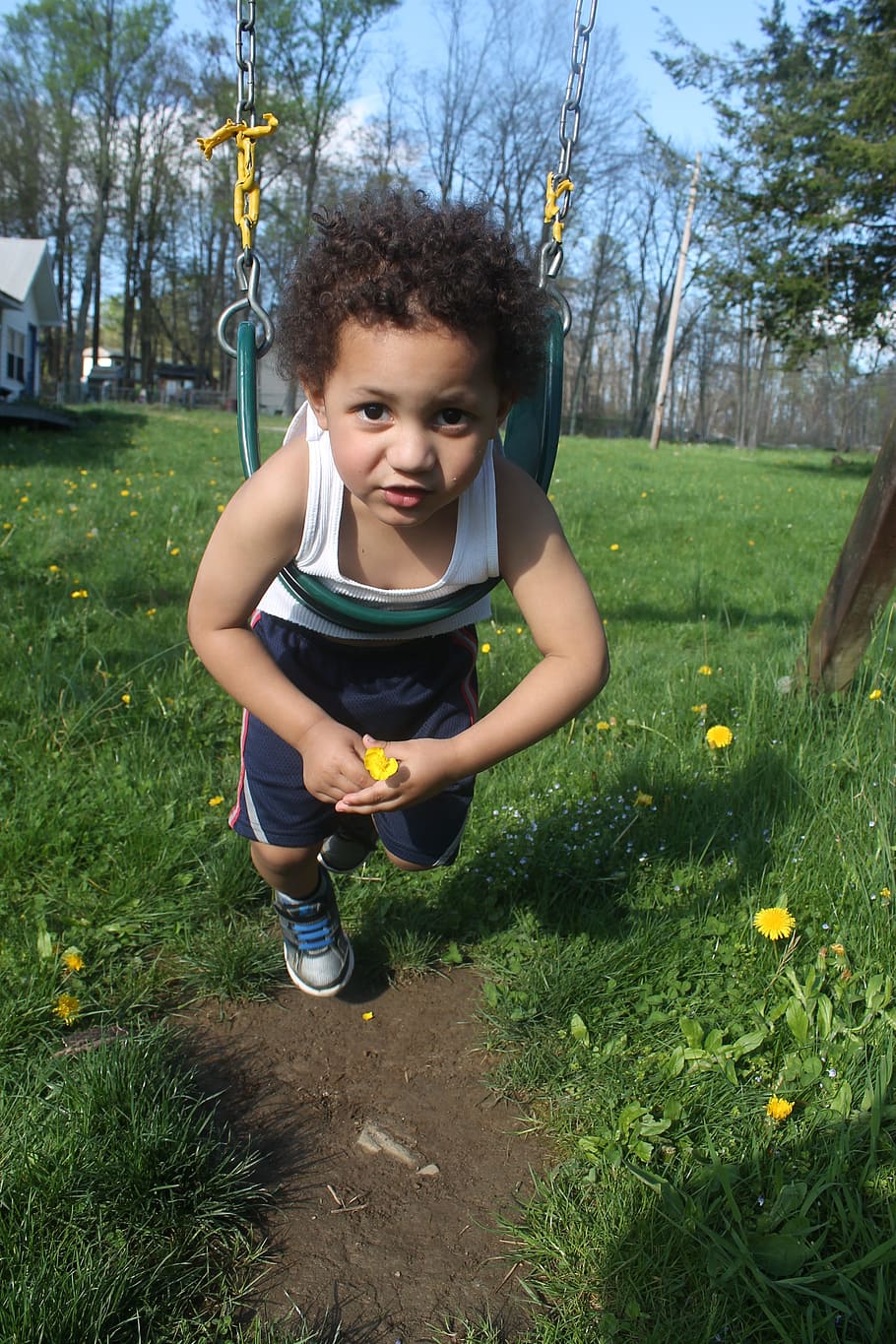 cute, mixed, boy, swinging, fun, kid, plant, childhood, real people HD wallpaper