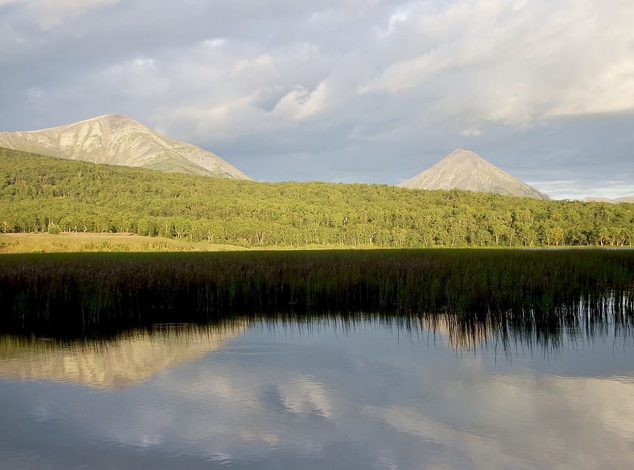lake, mountains, forest, reflection, clouds, sky, beach, evening HD wallpaper