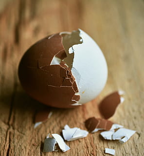 egg, hen's egg, eggshell, bi color, brown egg, white egg, contrast HD wallpaper