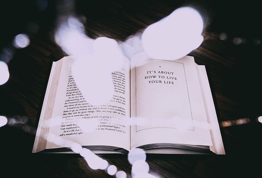 opened book on table, bokeh lights with opened book, page, text, HD wallpaper