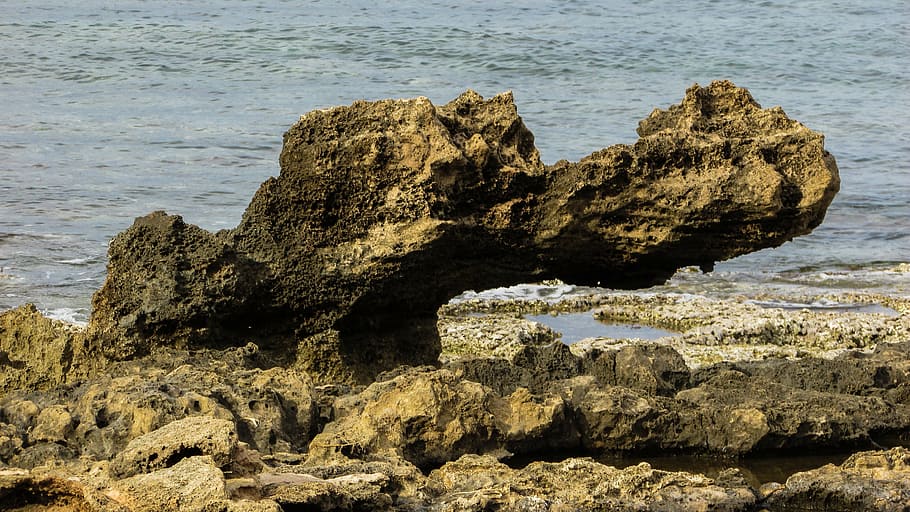 cyprus, protaras, rock, crocodile, rocky coast, sea, water HD wallpaper