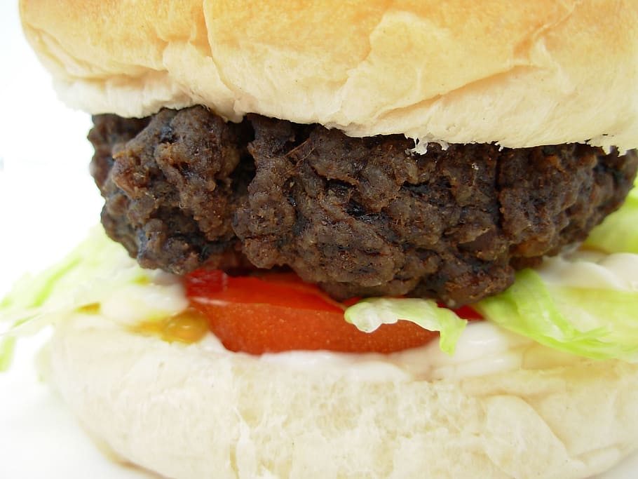 hamburger, meat, junk food, fast, bread, mayonnaise, sandwich, HD wallpaper