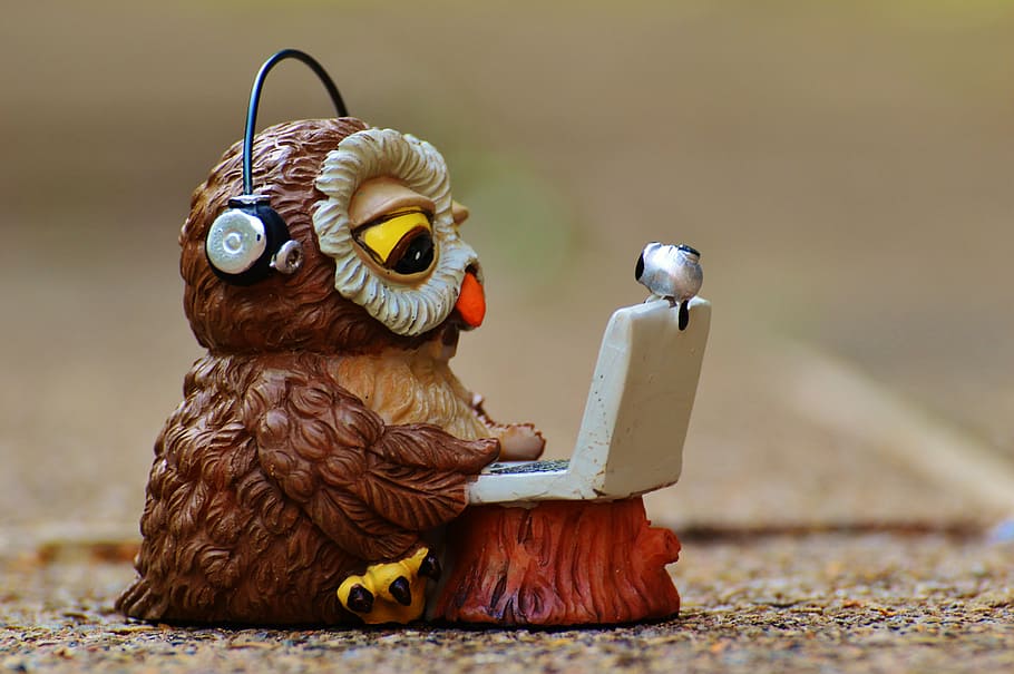 brown and white ceramic owl wearing black headphones figurine HD wallpaper