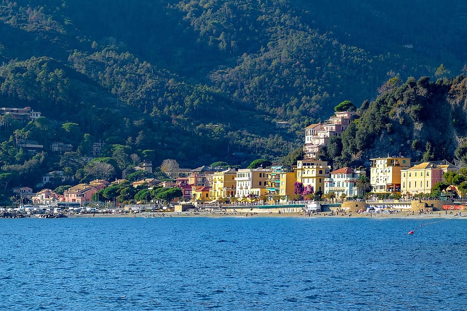 cinque terre, monterosso, village, mediterranean, sea, beach, HD wallpaper