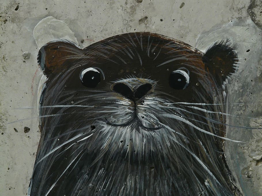 black animal painting, otter, drawing, image, drawn, funny HD wallpaper
