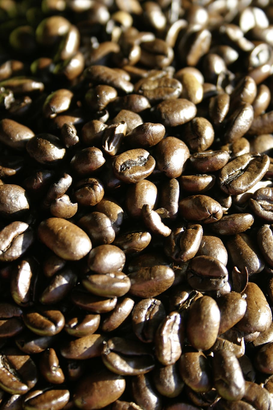 coffee, coffee beans, roasted, brown, aroma, cafe, caffeine HD wallpaper