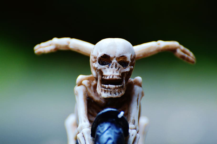 Biker, Skeleton, Creepy, Weird, decoration, scary, bone, horror HD wallpaper