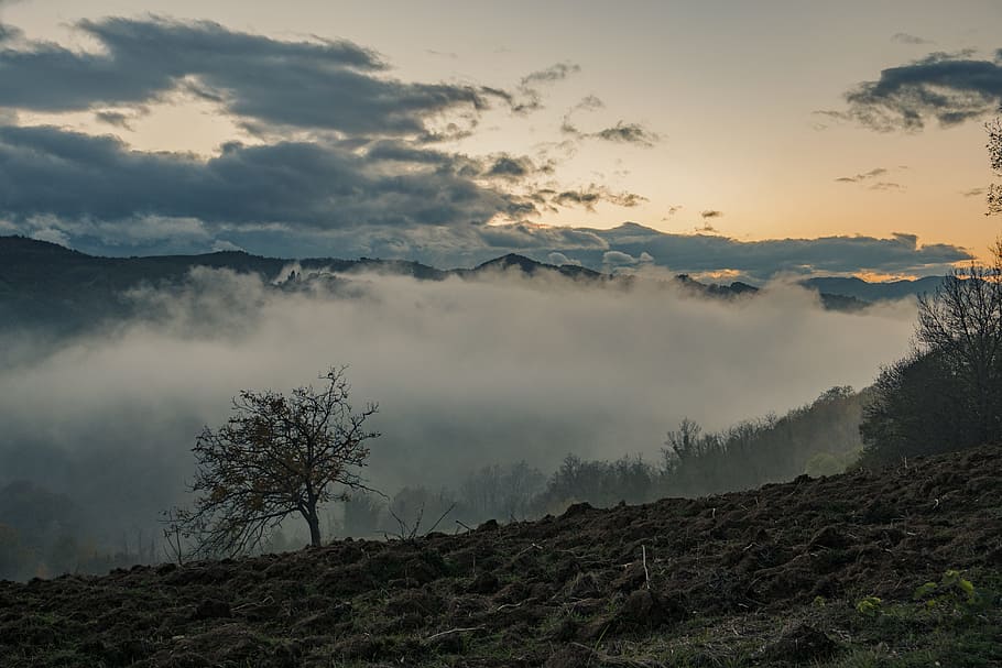 landscape, fog, clouds, trees, sky, earth, sunset, hill, mist HD wallpaper