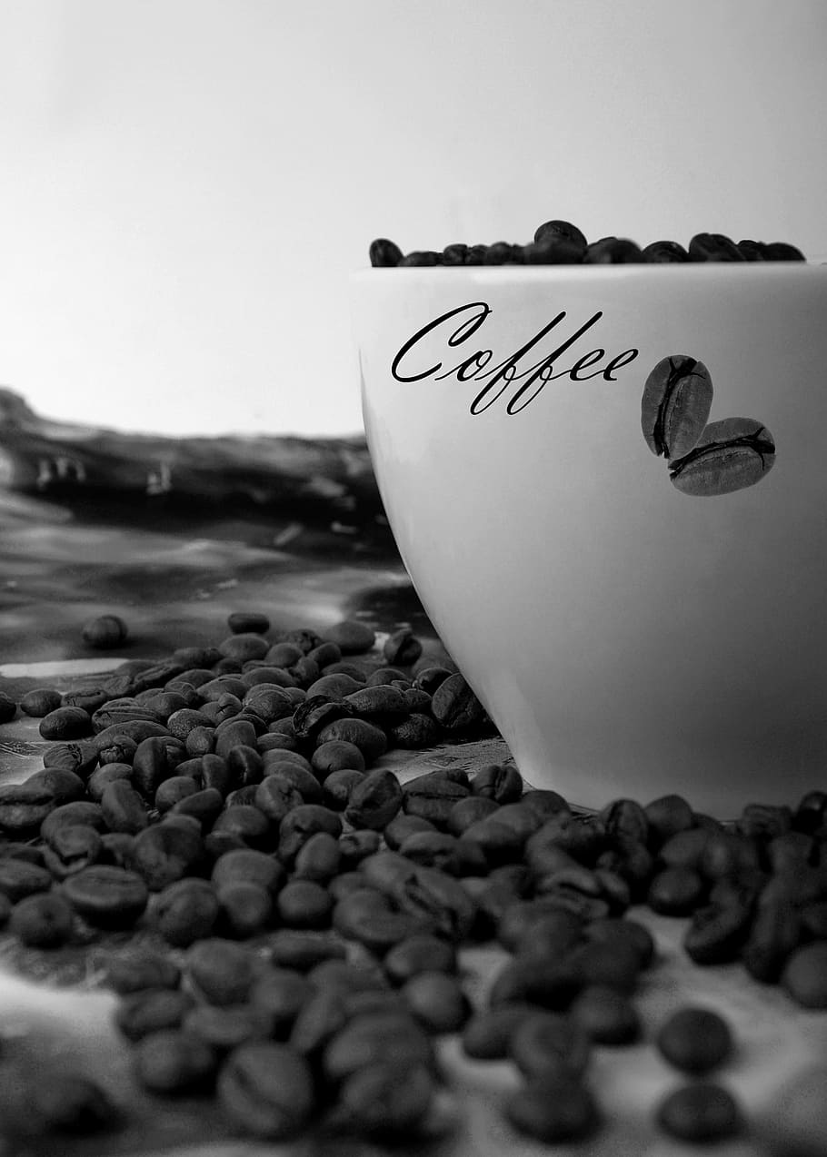 tastes, beans, coffee, cup, text, western script, no people HD wallpaper