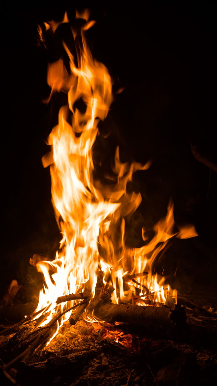 Fire, Bonfire, Campfire, Coals, Tourism, flame, forest, burning HD wallpaper
