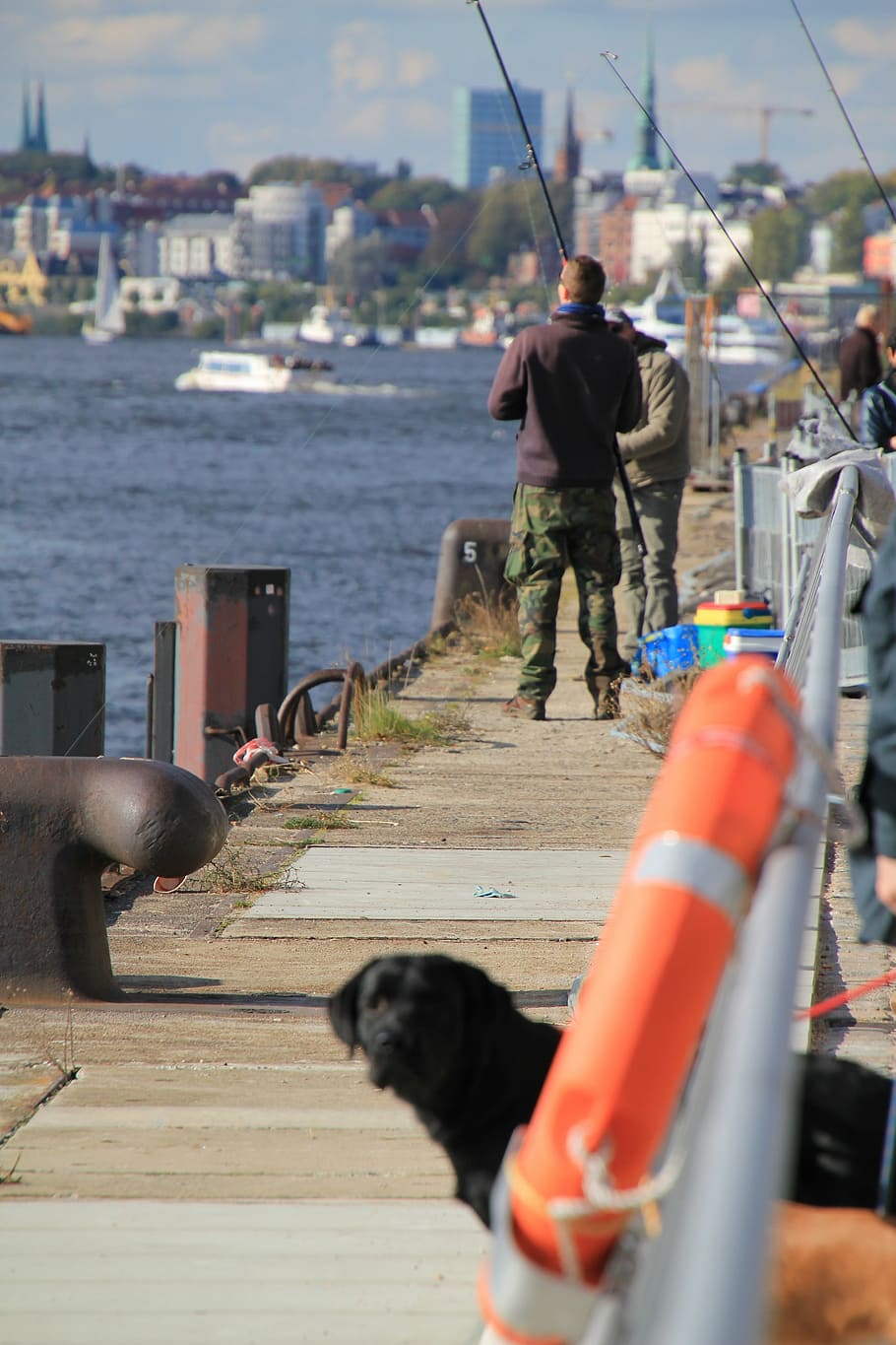hamburg, water, angler, fish, dog, city, marco polo terassen HD wallpaper