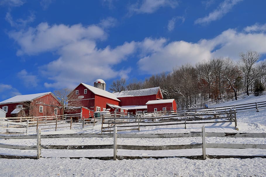 winter, farm, snow, outdoors, landscape, barn, fence, white, HD wallpaper