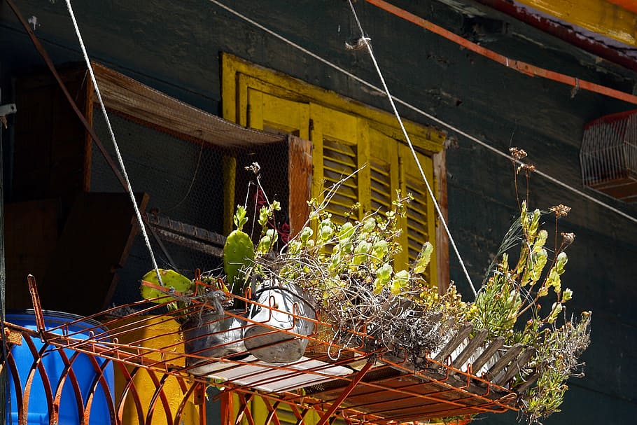 balcony, house, facade, building, wooden, colorful, plant, architecture HD wallpaper
