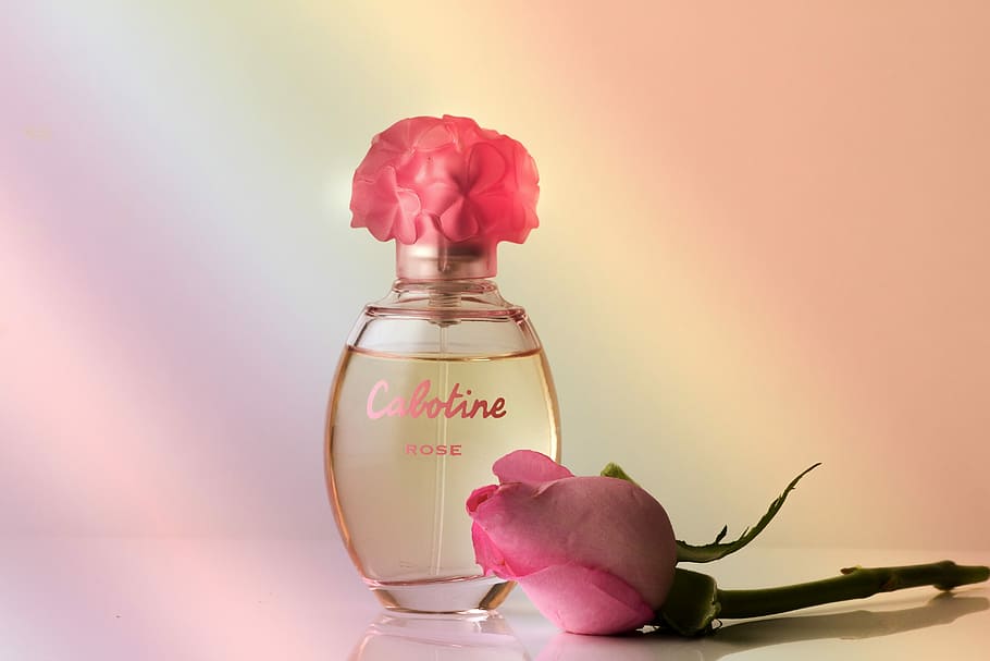 Calotine perfume bottle, fragrance, rose, still life, decorative