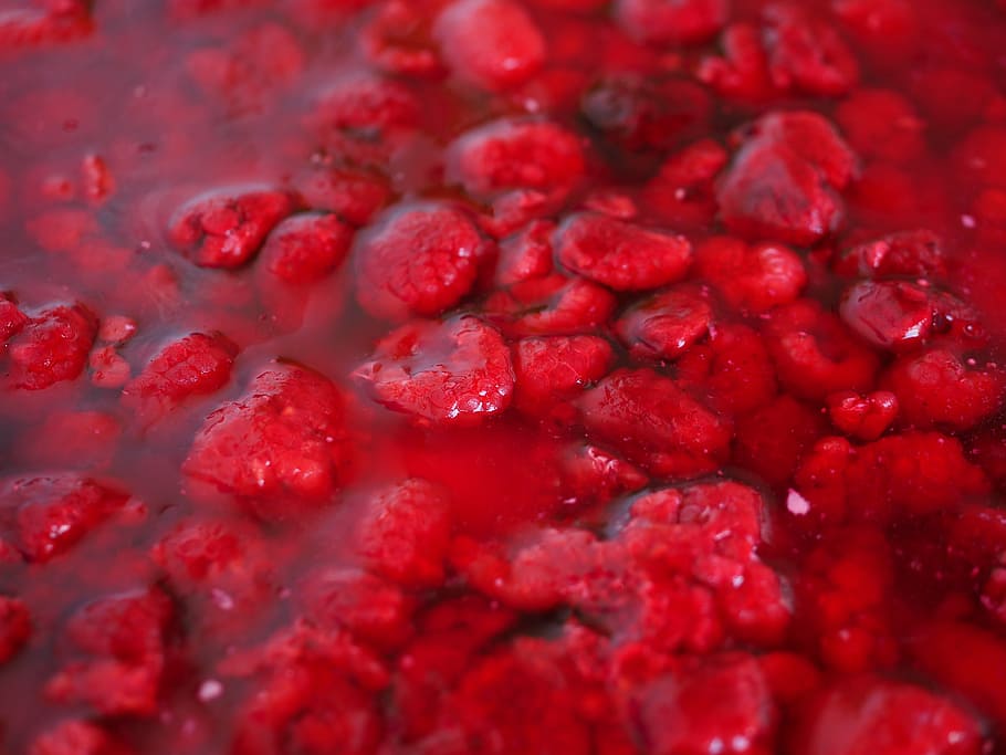 raspberries, raspberry cake, red, gelatin, delicious, sweet HD wallpaper