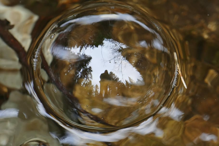 Nature, Forest, Bach, Water, water bladder, mirroring, landscape HD wallpaper