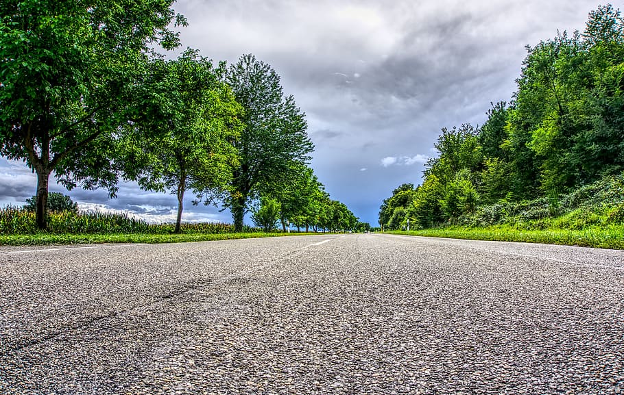 worm's-eye view of road in between trees under cloudy sky, asphalt
