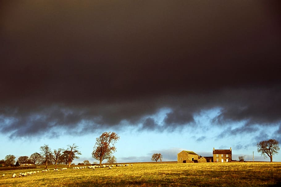 Yorkshire, England, Clouds, Countryside, landscape, sky, english HD wallpaper