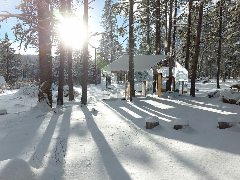 invisible barn, artwork, forest, optical illusion, snow, cold temperature HD wallpaper