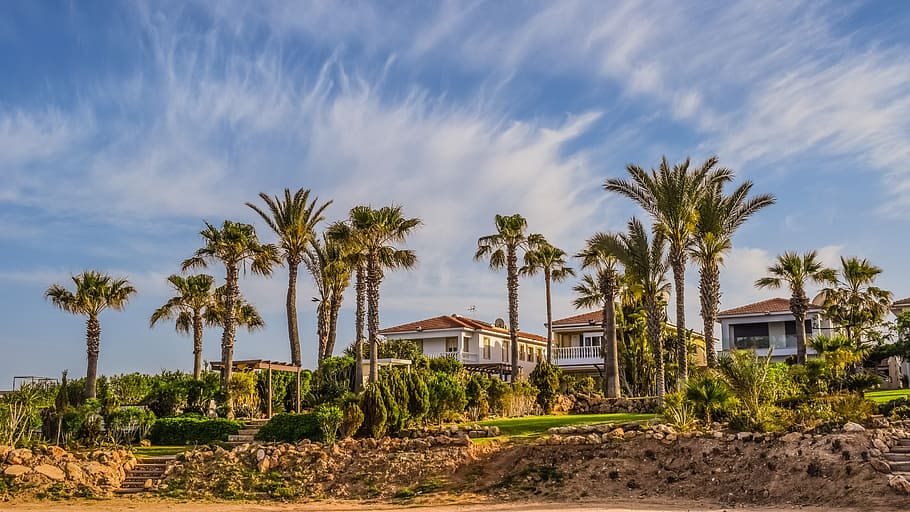 sky, clouds, garden, house, coconut trees, daylight, home, outdoors HD wallpaper
