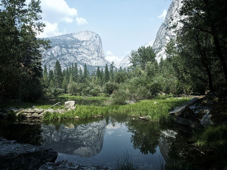 Mirror Lake, Yosemite National Park, body of water surrounded by trees HD wallpaper