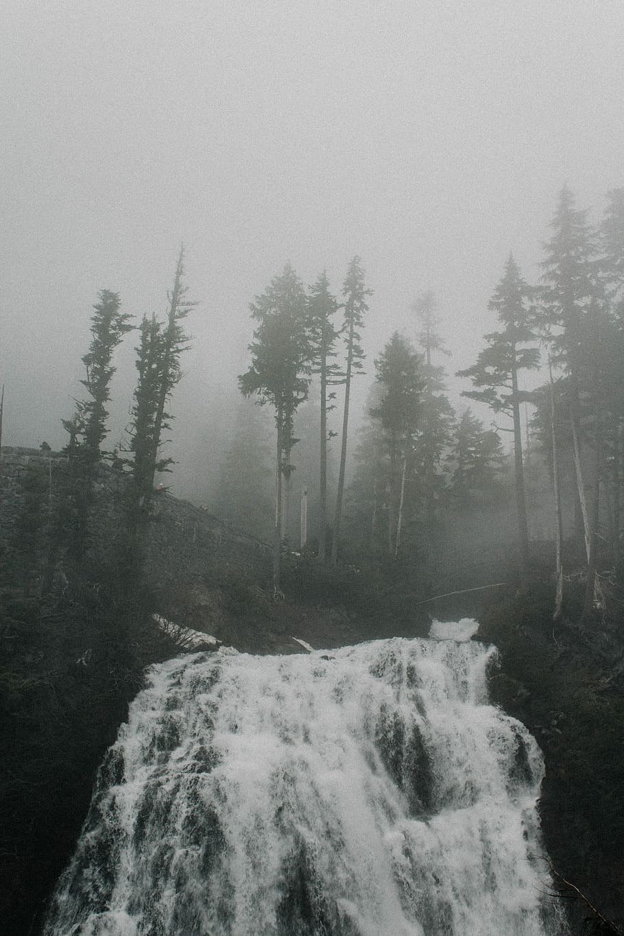 grayscale photo of waterfall near tree, scenery of a waterfall during fog HD wallpaper