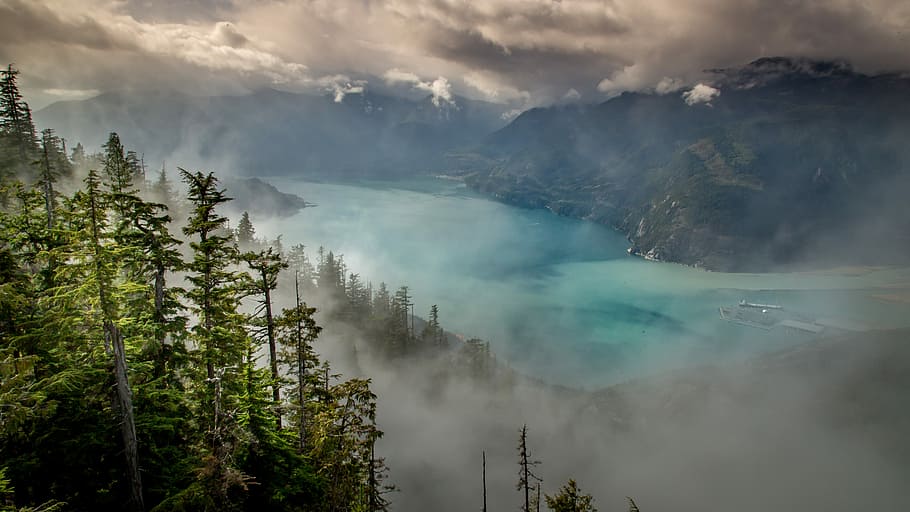 aerial photography of lagon between trees and mountain, green leafed trees with mist in distance teal calm body of water at daytime HD wallpaper