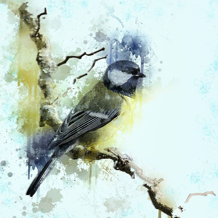 HD wallpaper: gray bird painting, great tit, animal, nature, wild animals,  wildlife | Wallpaper Flare