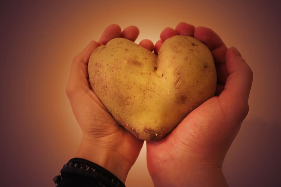 potato, heart, the two halves of, love, poland, hands, heart shape, HD wallpaper