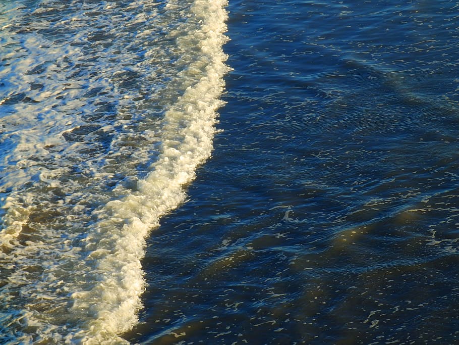 ocean, the waves, pacific, sea, nature, water, motion, sport HD wallpaper