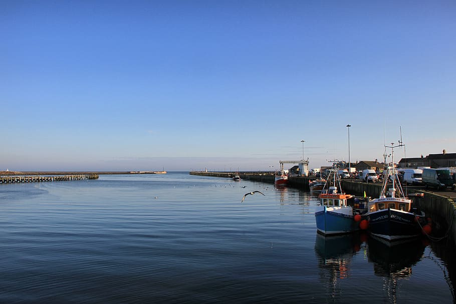 amble, northumberland, harbour, boats, fishing, uk, river, coquet, HD wallpaper