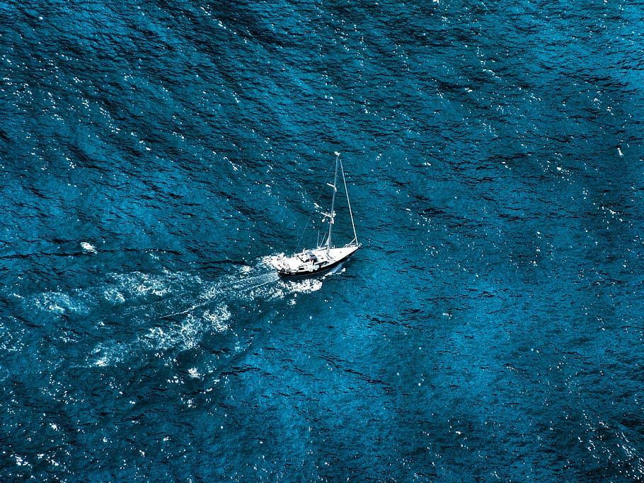 Marine, Boat, Escape, Background, blue, sea, one animal, day, HD wallpaper