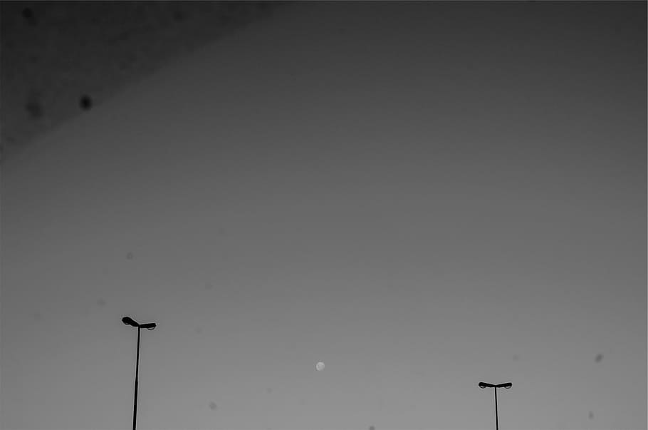 untitled, moon, sky, lamp, posts, black, white, lamp posts HD wallpaper