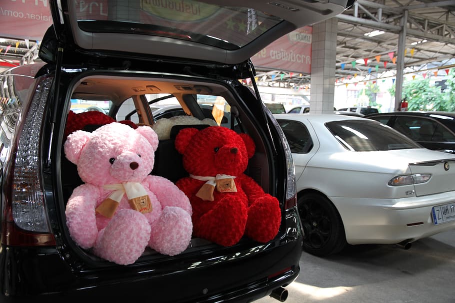 car, teddy, space wagon, motor vehicle, stuffed toy, mode of transportation HD wallpaper