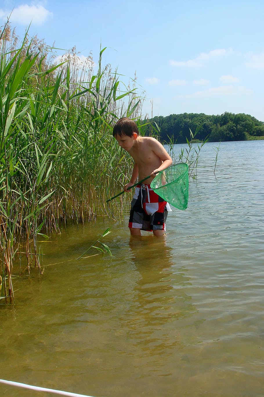 boy, fishnet, reed, natural water, nature, clouds, blue sky HD wallpaper